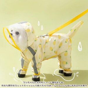  CR[g hbOEFA p  hEFA 4{ ~J΍ J Jbp t[ht EȒP   [hL xNt ^ ^ ^ ʋC  y 