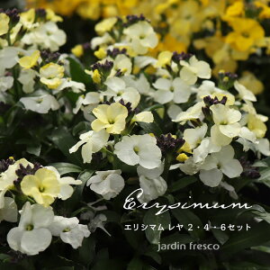 y11{zԕc Iׂ GV} c Zbg 2E4E6|bg _꒼yjardin^nfBz