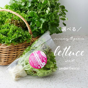 t Tj[O[^XZbg yjardin^nfBz