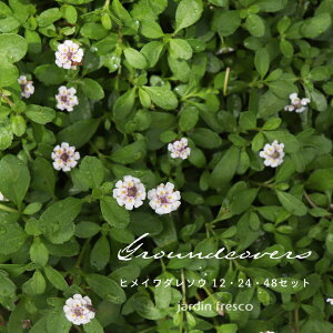 yOhJo[czqC_\E Iׂ12E24E48|bgy9cm|bgzyjardin^nfBz