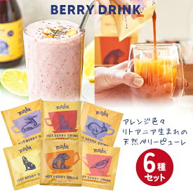 【スーパーSALE対象】【スムージーにもおすすめ！】Mashieマシー ベリーピューレ40ml×6種類セット/ 希釈用ドリンク ジュース シロップ 濃縮ベリー リトアニア フルーツソース ビタミン補給 ギフト 北欧
