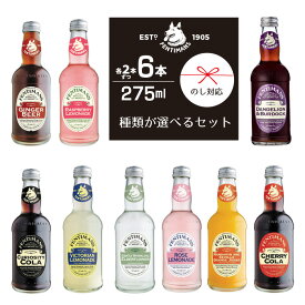 【送料無料】 フェンティマンス 275ml×6本セット ノンアルコール飲料 イギリス 発酵ジンジャーエキス カクテル モクテル ノンアルコールカクテル カロリーオフ 割り材 お中元 ギフト BBQ 家飲み おしゃれ 瓶 ホームパーティー