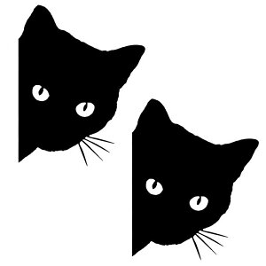 L XebJ[  LV[ lR V[ ˂ XebJ[ L ԃV[ oCN wbg  EH[ X}z 킢  h {fB fJ[ ݂߂ L ̂ NlR WW 