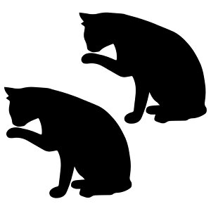 L XebJ[  J[XebJ[ L тÂ낢 A oCN wbg B  EH[ p\R X}z 킢  h V[ JbeBOXebJ[ fJ[ ub