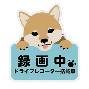 ^]h~XebJ[ hRXebJ[ ^撆XebJ[  oCN   J[XebJ[ ^] 댯^]  ΍ h~ \h h ʔ   킢 h