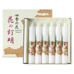 ]ʃ[\NԂ̓5D@Vi6{j10