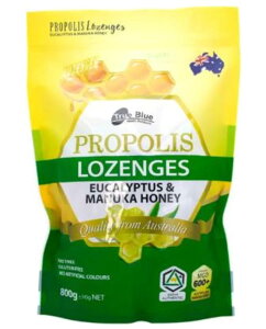 True Blue v|X [J}kJnj[̂ǈ MGO 600+ 800g v|X ǍN tbV ΍ ח\h L\h