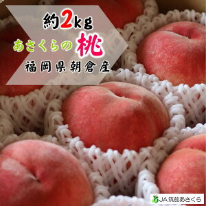 ◆桃(約2kg)◆あさくらの桃産地直送！福岡県朝倉産6〜10玉入りフルーツギフト