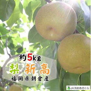 (V)̗YnIqY5kg(5-8ʓ)t[cMtg