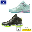【即納】 9月発売 MIZUNO ミズノ ウエーブダイバース リミテッド WAVE DIVERSE LG5 LTD フィットネス シューズ 男女兼…