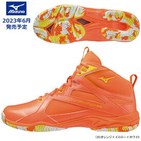 【2023年6月発売】 MIZUNO ミズノ ウエーブダイバース LG4 Ltd WAVE DIVERSE フィットネスシューズ 男女兼用 2E K1GF2375-35【23SS】