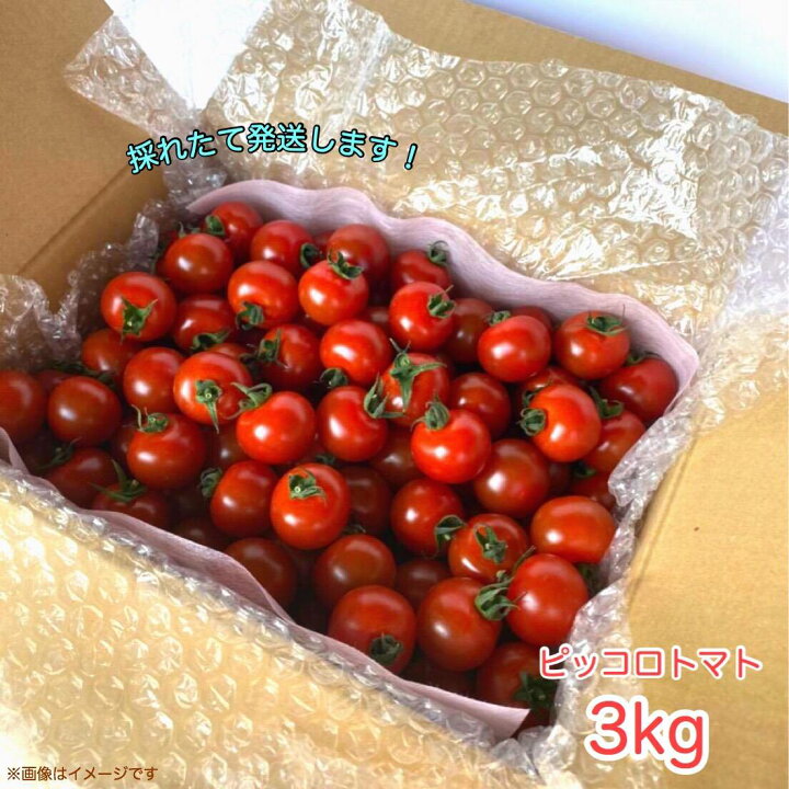 楽天市場 ミニトマト 3kg ピッコロトマト お取り寄せ 送料無料 愛知県産ミニトマト 生産者より産地直送野菜 美味しいミニトマト プチトマト トマトリコピン ピッコロトマト