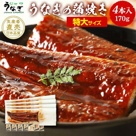 ジャワ うなぎ 蒲焼き 鰻 特大 長焼き 170g 4本 ふるさと ギフト 2024 グルメ セット 母の日 父の日 プレゼント 食品 食べ物 誕生日 国産 飼料 国内産 たれ 無投薬 オーガニック