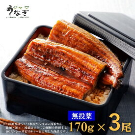 ジャワ うなぎ 蒲焼き 鰻 特大 長焼き 170g 3本 ふるさと ギフト 2024 グルメ セット 母の日 父の日 プレゼント 食品 食べ物 誕生日 国産 飼料 国内産 たれ 無投薬 オーガニック