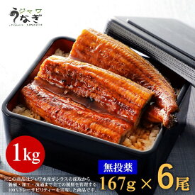 ジャワ うなぎ 蒲焼き 鰻 特大 長焼き 1Kg (167g 6本) タレ付き ふるさと ギフト 2024 グルメ セット 母の日 父の日 プレゼント 食品 食べ物 誕生日 国産 飼料 国内産 たれ 無投薬 オーガニック