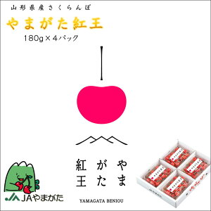 �������� ��܂����g�� 180g×4�p�b�N 2L �t�[�h�p�b�N ���� �M�t�g �R�` �v���[���g �M�t�g �R�`�_�Ƌ����g�� �Y�n���� �������� �������� �R�` ���k ���� �v���[���g ���� ��� ���蕨 ���A 