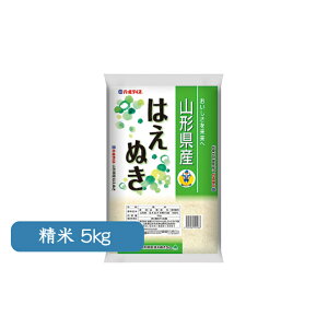  R`Y ͂ʂ 5kg  䒆 Ε Mtg R`_Ƌg