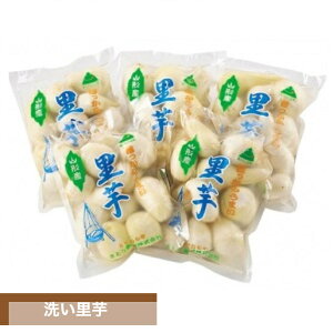 �􂢗��� 500g×5�� ������ ��ނ����炸 �����g���� ���Ƃ��� �R�` �Y�n���� ��� �M�t�g �R�`�_�Ƌ����g��