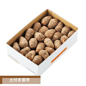  5kg yt R` ʌ Ƃ R` Yn  VN Mtg R`_Ƌg