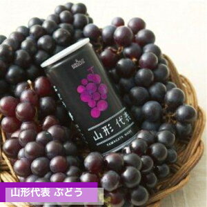 山形代表ぶどう(赤) 20缶 ストレート果汁100% SUN&LIV 山形 果汁 果物 ギフト 山形農業協同組合