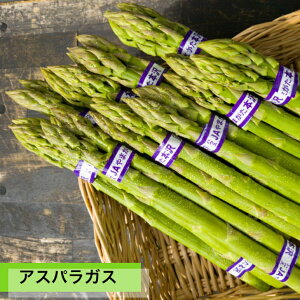 �A�X�p���K�X 1kg(100g×10��) �R�` �Y�n���� ��� �V�N �M�t�g �R�`�_�Ƌ����g�� �A�X�p�� ���̂� �{ ���k �������� ��������