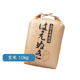 お米 山形県産 はえぬき 10kg 玄米 御中元 御歳暮 ギフト 山形農業協同組合