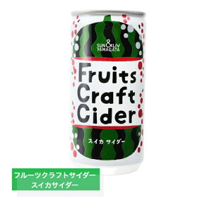 t[cNtgTC_[XCJTC_[30ʂnTC_[SUN&LIVR`ʏ`ʕMtgR`_Ƌg