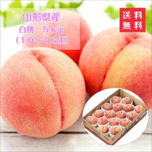   5kg 10ʁ`16  R` Yn ʕ Mtg R`_Ƌg