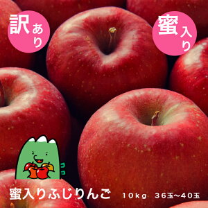 y󂠂z  ӂ ƒp 10kg 36ʁ`40 R` _Ǝx Yn ʕ R`_Ƌg