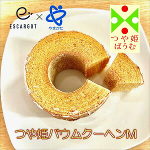 PoEN[w@MTCY@䒆@Ε@v[g@Mtg@@j@@Ԃ@@j@َq@Ăَq@R`@k