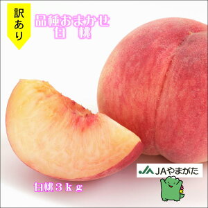 y󂠂z@i킨܂ 3kg (1.5kg×2) R` Yn ʕ Mtg R`_Ƌg