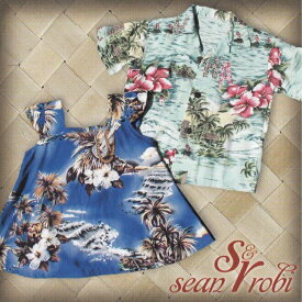 【中古】Hawaiian ハワイアン Hula CDSean Na`auao & Robi Kahakalau/S&Rショーン・ナアウアオ & ロビ・カハカラウ