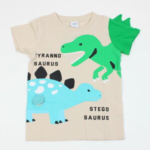 y3őz TVc  eBmTEX XeSTEX j̎q LbYTCY q `[N[ CHEEK ROOM