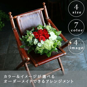 I[_[Ch AW  Mtg t[AWg a v[g j i   G߂̉ i`   JXj ސEj LO40 50 t  H ~ ʉ N