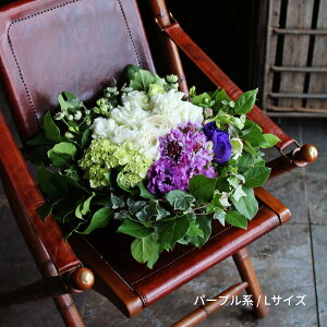   AW J[Iׂ  AWg Vv Mtg t[AWg    i  @  @v l\  Dy kC G 