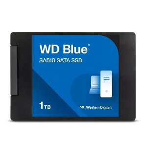 WD Blue SA510 SATA SSD WDS100T3B0A 1TB