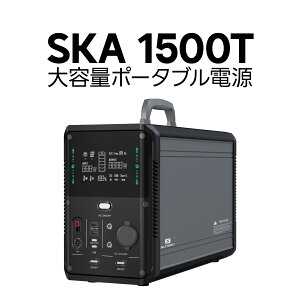 eʃ|[^ud SKA1500T