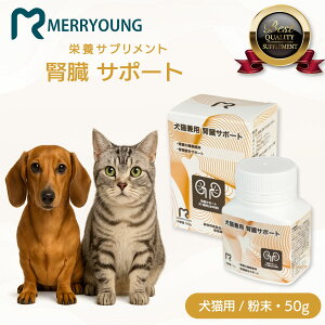 y Lp Tvg z MERRYOUNG [ tT|[g 50g t ybg̃Tv L   ˂ lR Tv Nێ h{⏕Hi ybgTv ^Cv L̃Tv ̃Tv 