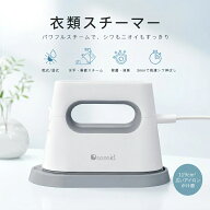 衣類スチーマー スチームアイロン ハンディアイロン ハンディスチーマー 2WAY 40秒立ち上がり シワ伸ばし…