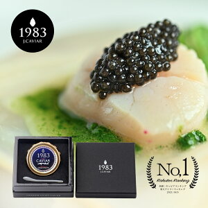 y20%OFF4,000~N[|zyNYփt@[XgNX̗pz{LrA1983 (20g) | pϔ YōtbVLrA v[g LrA  蕨 p[eB[ LO a
