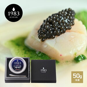 yNYփt@[XgNX̗pz{LrA1983 (50g) | pϔ YōtbVLrA v[g LrA  蕨 p[eB[ LO a EO咿 Ε 