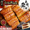 お中元 鰻楽 国産 うなぎ 長焼2尾 3尾 5尾 蒲焼 セット 160gサイズ | 鰻 ウナギ 国内産 蒲焼き 冷凍 真空パック 宮崎 鹿児島 丑の日 土用丑の日 お取り寄せ グルメ 食べ物 贈答 贈り物 土用の丑の日
