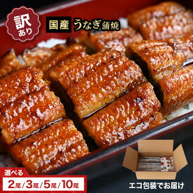 【訳あり】鰻楽 国産 うなぎ 蒲焼き 130g 長焼き 2尾 3尾 5尾 10尾 送料無料 小ぶり メガ盛り 冷凍 真空パック 宮崎 鹿児島 うなぎ蒲焼き ウナギ 鰻 ギフト 贈答 お歳暮 お取り寄せ グルメ 食品 土用丑の日 あす楽 プレゼント 誕生日 喜ばれる 冷凍食品 高級 安心 人気