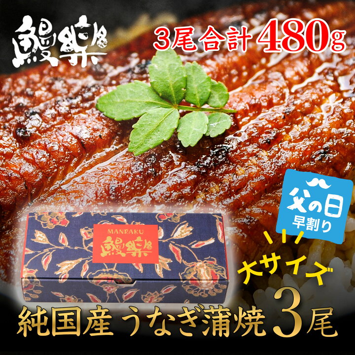 100 品質保証 父の日 22 生産者限定 宮崎県産うなぎ蒲焼 長焼800g 160g 5尾 タレ付き 国産 鰻 ウナギ 蒲焼き 惣菜 お取り寄せ お祝い 高級 ギフト 送料無料 Sk14 Riosmauricio Com