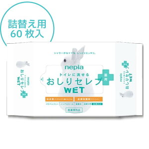 lsA Zu WET p lւ 60 HH Zu gCbgy[p[ 炩@@ӂ@EFbgeBbV