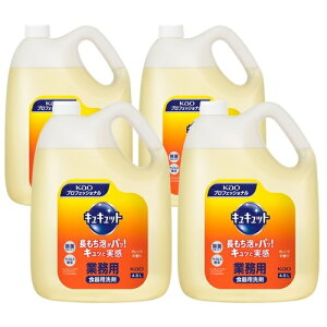 yƖpzLLbg4.5L×4{yԉz HH