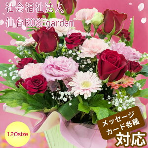 y䃍[YK[fzAWg2 K[x KN v[g 120TCY