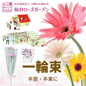  ցy䃍[YK[fzK[x ։ ݑ JX~\E      v[g ct ۈ牀 Ǝ Ɛ 搶 GIFT a  Cxg v`Mtg 1{ 