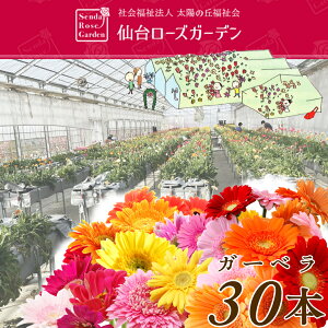 【仙台ローズガーデン】ガーベラ ばら売り6ミックス30本 ブーケ 花束 卒業 プレゼント ギフト 母の日 母の日 プレゼント 花 ギフト