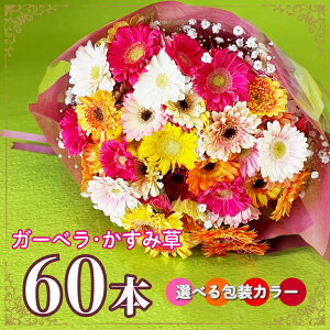 K[x ԑ 60{y䃍[YK[fzu[P ԑ  v[g Mtg ̓ K[x ԑ hV̓ JX~\E